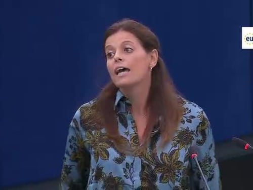 Ilaria Salis agita le chiavi, scontro con la leghista Tovaglieri: "Parassita è chi occupa le case"