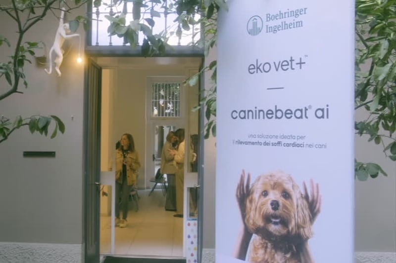 L'AI nuovo strumento per individuare soffi cardiaci nei cani